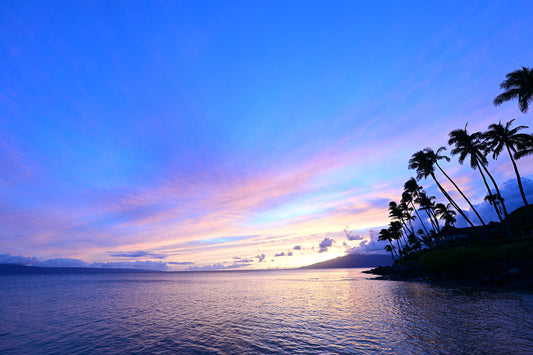 Maui Sunset Serenity: Swaying Palms and Glowing Waters